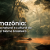 Amazônia: A riqueza natural e cultural do maior bioma brasileiro