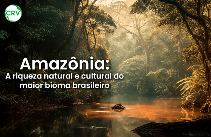 Amazônia: A riqueza natural e cultural do maior bioma brasileiro