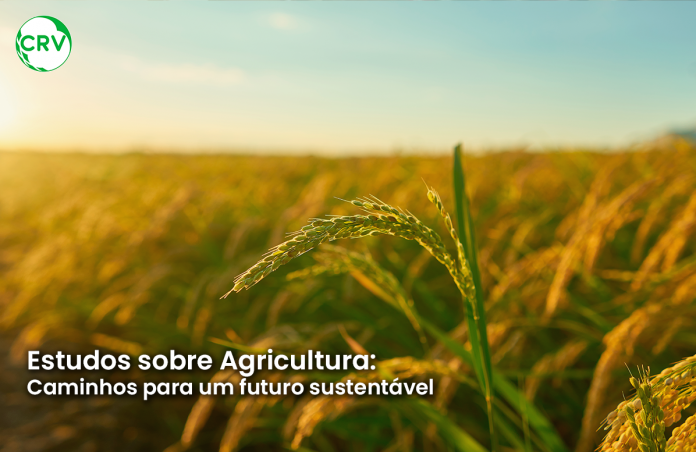 Estudos sobre Agricultura: Caminhos para um futuro sustentável