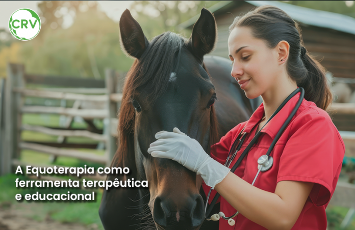 A Equoterapia como ferramenta terapêutica e educacional