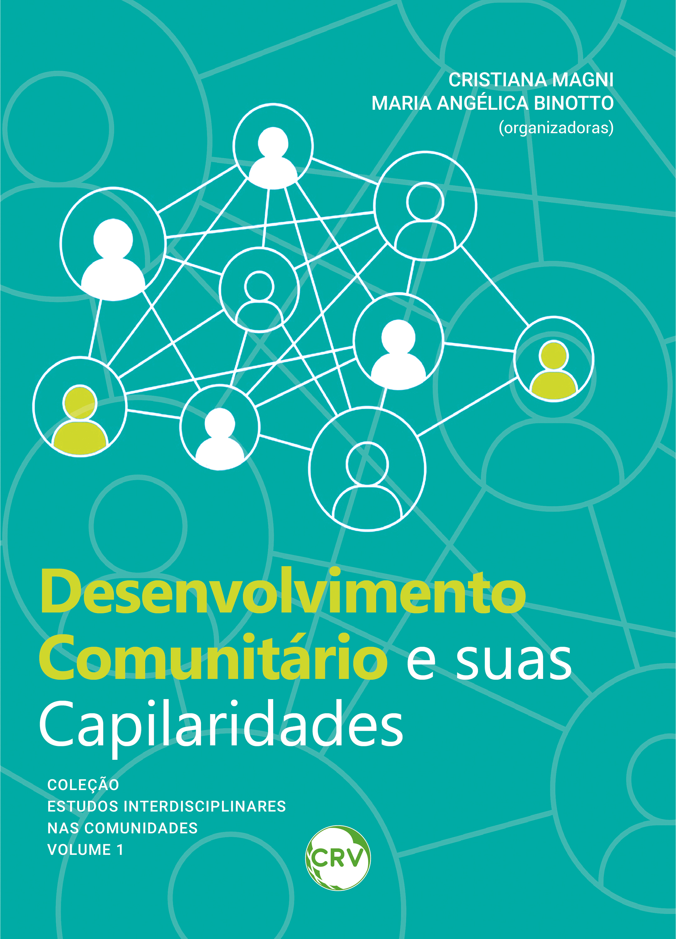 Capa do livro: Desenvolvimento comunitário e suas capilaridades - Vol. 01