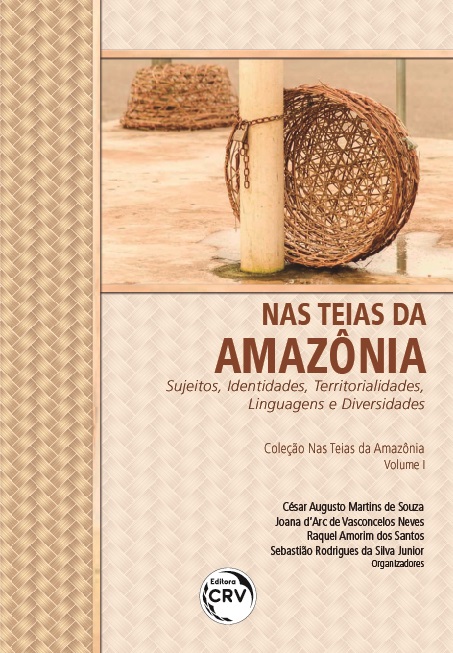 Capa do livro: NAS TEIAS DA AMAZÔNIA: <br>sujeitos, identidades, territorialidades, linguagens e diversidades <br> Coleção Nas Teias da Amazônia - Volume I