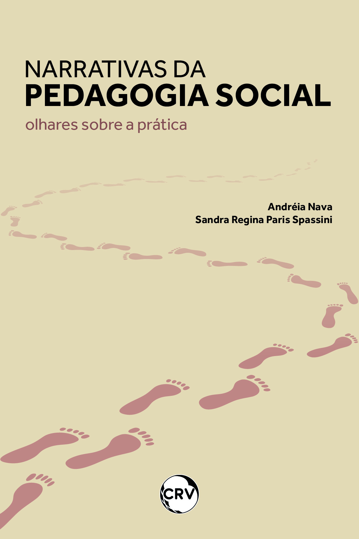 Capa do livro: Narrativas Da Pedagogia Social: <BR>Olhares sobre a prática