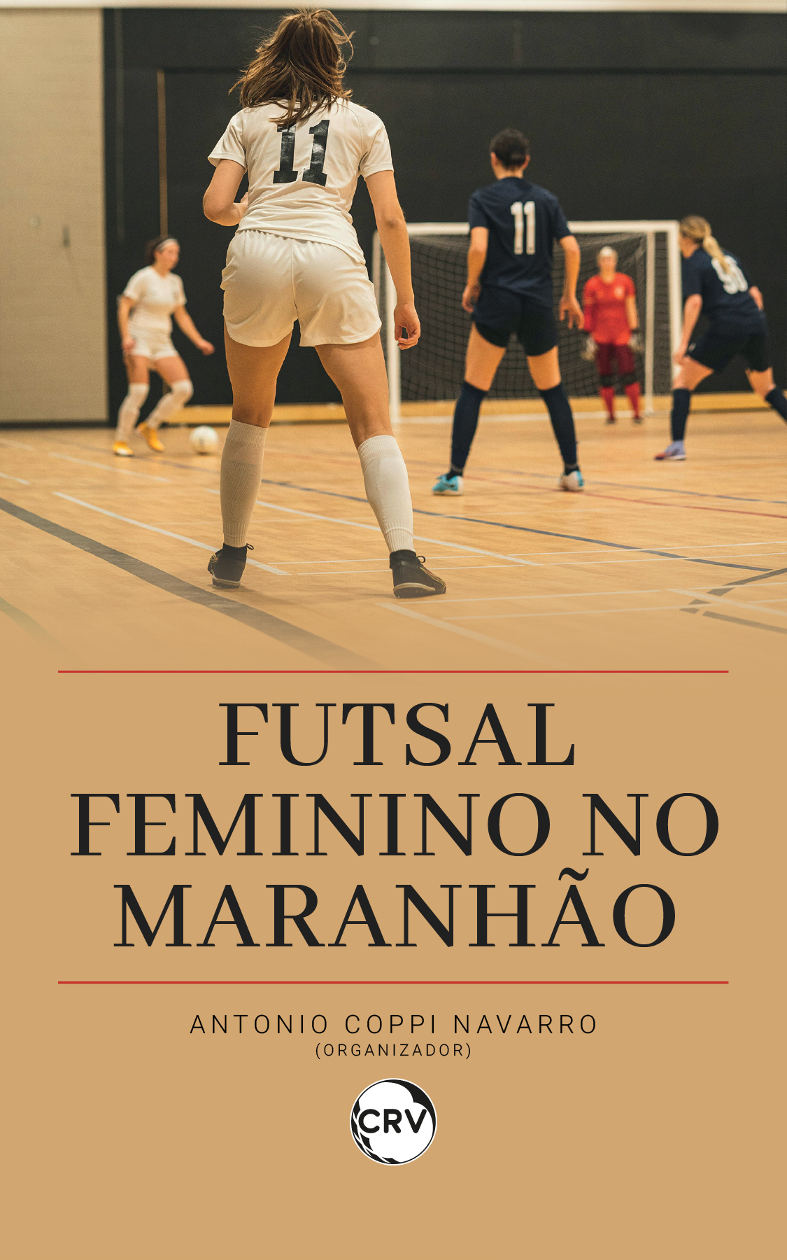 Capa do livro: Futsal feminino no Maranhão