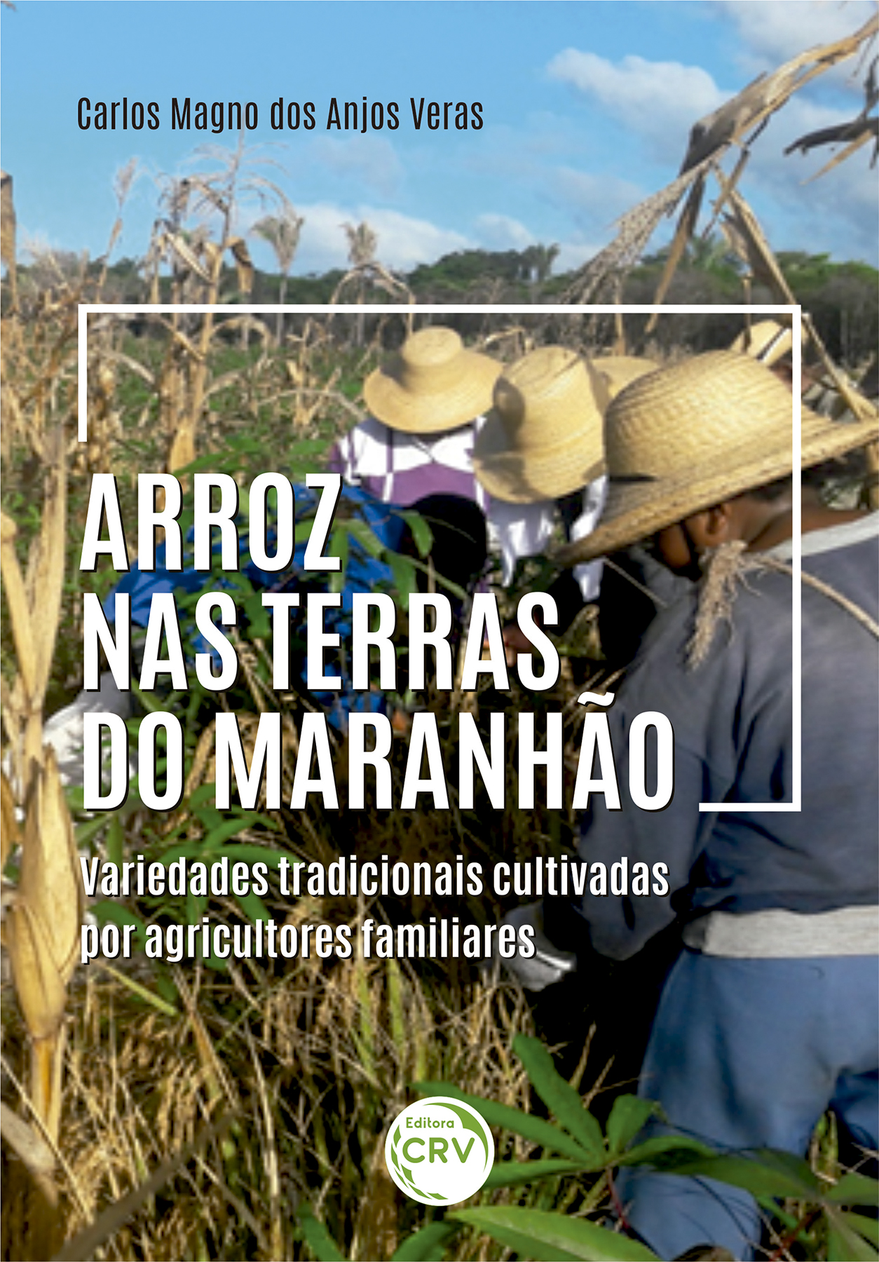 Capa do livro: ARROZ NAS TERRAS DO MARANHÃO <br> variedades tradicionais cultivadas por agricultores familiares