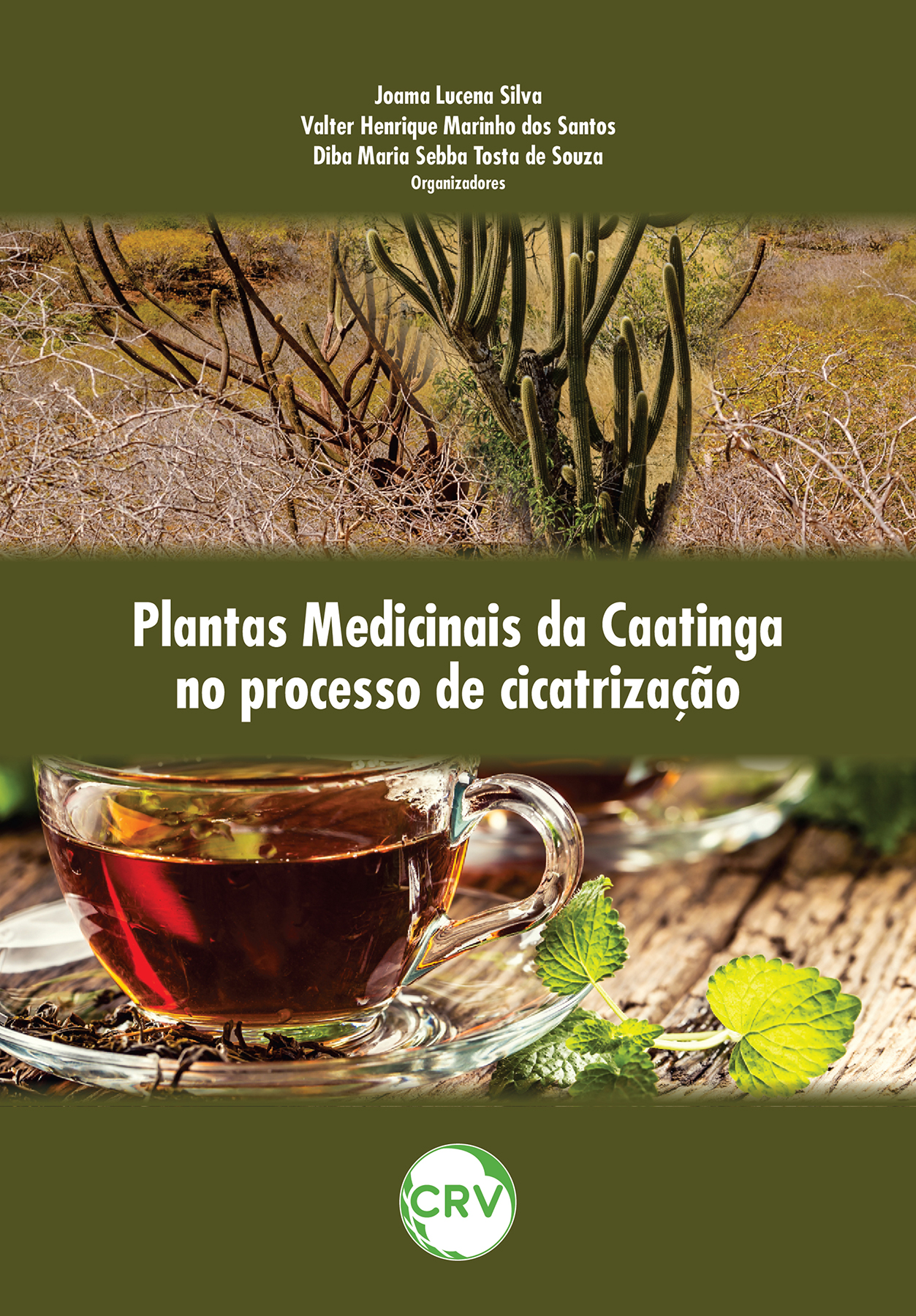 Capa do livro: Plantas medicinais da caatinga no processo de cicatrização