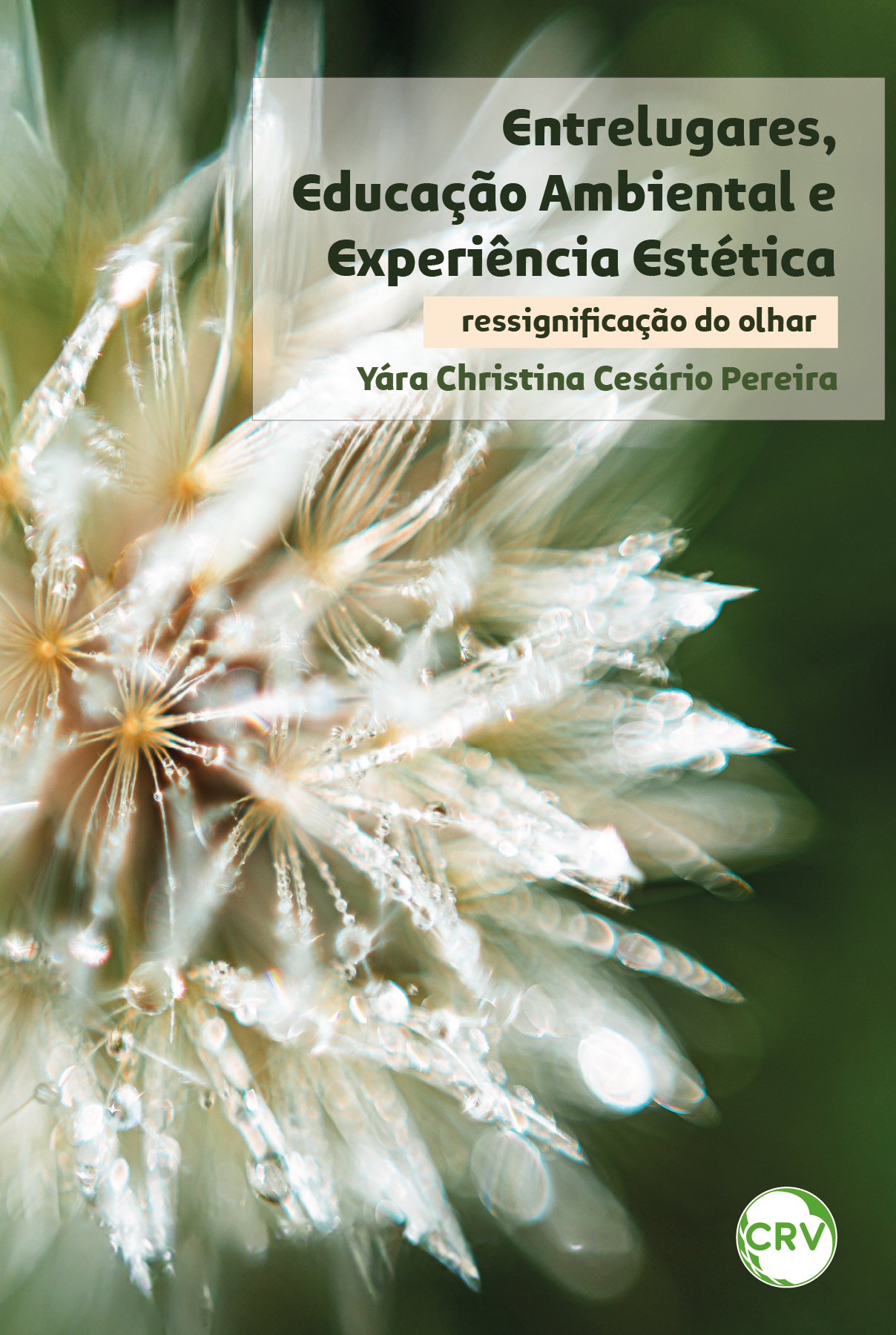 Capa do livro: Entrelugares, educação ambiental e experiência estética: <br>Ressignificação do olhar