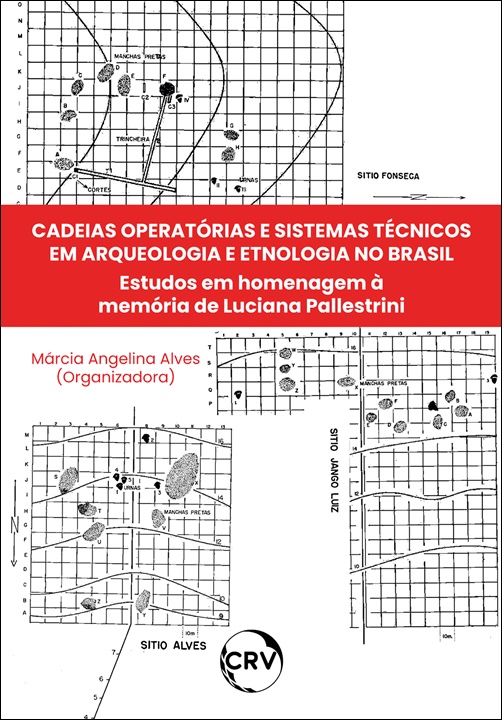 Capa do livro: Cadeias operatórias e sistemas técnicos em arqueologia e etnologia no Brasil: <BR>Estudos em homenagem à memória de Luciana Pallestrini