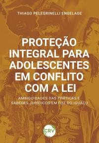 Proteção integral para adolescentes em conflito com a lei: <BR>Ambiguidades das práticas e saberes jurídicos em Foz do Iguaçu