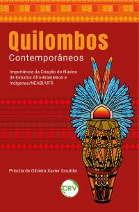 Quilombos contemporâneos: <BR>Importância da Criação do Núcleo de Estudos Afro-Brasileiros e Indígenas/NEABI/UFR