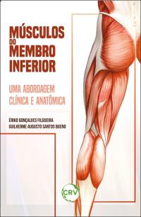 Músculos do membro inferior:<br>Uma abordagem clínica e anatômica